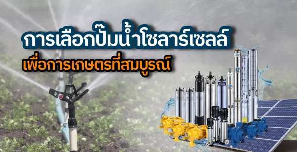 การเลือกปั๊มน้ำโซลาร์เซลล์เพื่อการเกษตรที่สมบูรณ์